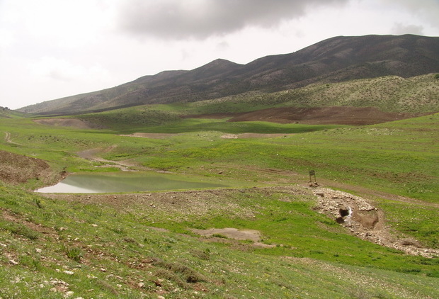 سند80هزار هکتار منابع طبیعی کرمانشاه به نام دولت زده شد