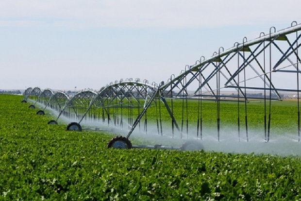 افزایش بهره وری آب و خاک از سیاست های جهاد کشاورزی است