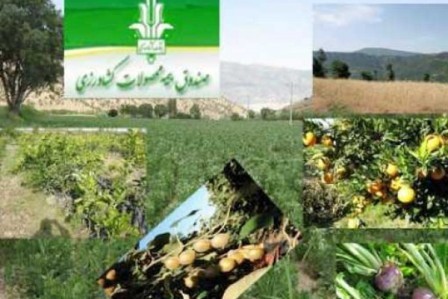 ضعف بیمه محصولات کشاورزی در مازندران