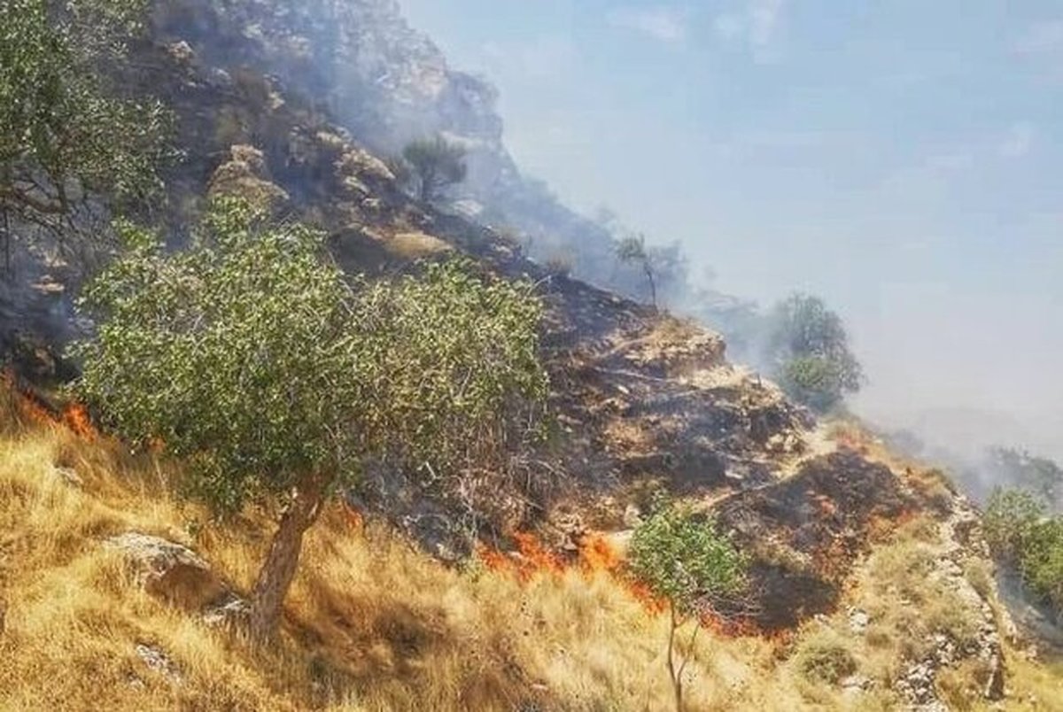 آتش در ارتفاعات کوه دراک شیراز شعله‌ور شد