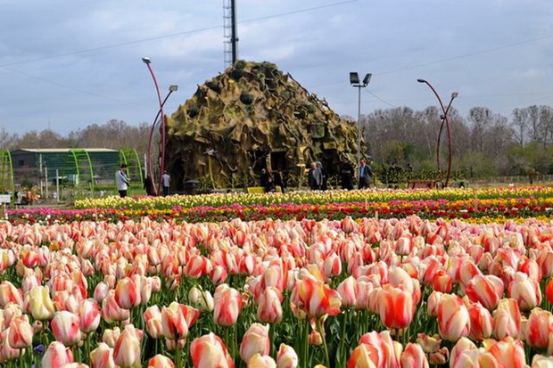 بوستان گوللر باغی ارومیه با 500 هزار بوته گل آراسته شد