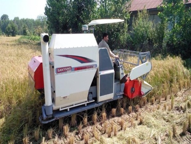جهاد کشاورزی مازندران نرخ برداشت مکانیزه شالی را اعلام کرد