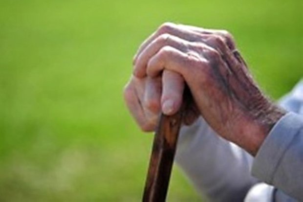طرح توانمندسازی سالمندان درالبرزاجرایی شد