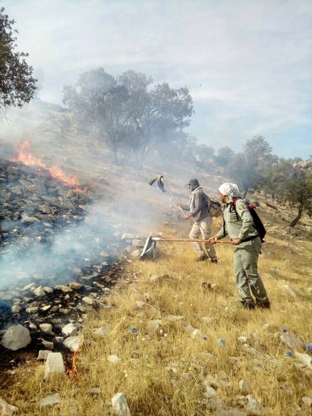 آتش سوزی در مراتع تالاب گری بلمک شهرستان پلدختر