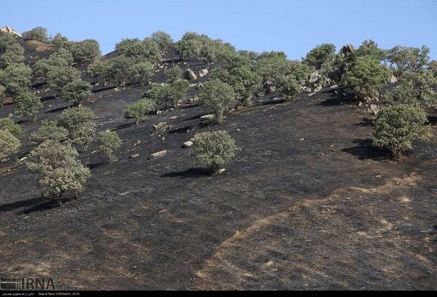 آتش سوزی منطقه حفاظت شده قلاجه گیلانغرب مهار شد