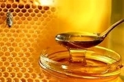 تولید سالانه 570 تن عسل در آمل