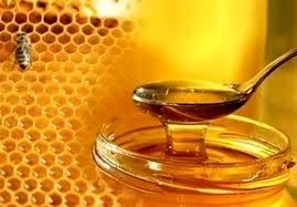 تولید سالانه 570 تن عسل در آمل