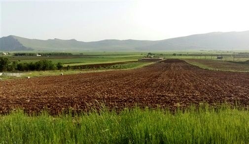 رفع تداخل از 175 هزار هکتار اراضی کشاورزی استان کردستان