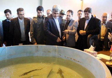 لزوم اجتناب از اعمال محدودیت‌های بی‌جهت برای استفاده از تالاب انزلی