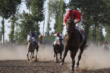 رقابت 63 راس اسب در هفته دوازدهم مسابقات اسبدوانی کورس پاییزه گنبد