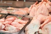 ۵۰۰ تن گوشت مرغ در اردبیل خریداری و ذخیره می‌شود