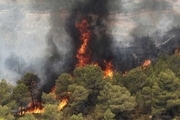 آتش سوزی در جنگل‌های گچساران
