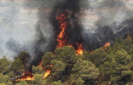 آتش سوزی در جنگل‌های گچساران
