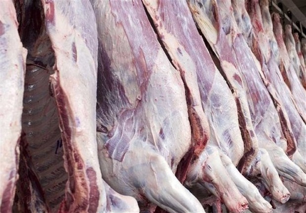 گوشت های کنیایی به ایران ارسال شدند