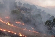 احتمال وقوع آتش‌سوزی‌ جنگلی طی ماه‌های آینده/ علت وقوع آتش سوزی‌ها چیست؟