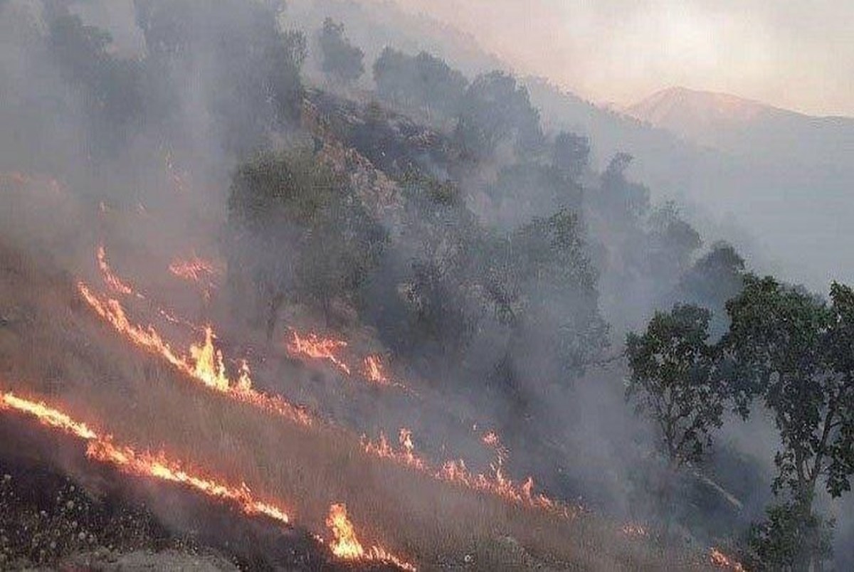 دستگیری عاملان آتش‌سوزی کوه خائیز 