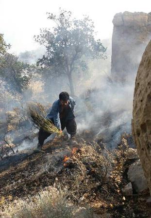 آتش سوزی جنگل های بخش کوهمره نودان کازرون مهار و عامل این حریق بازداشت شد
