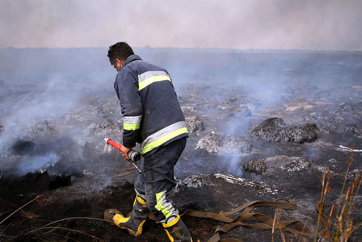 340 هکتار از جنگل های میانکاله در آتش سوخت
