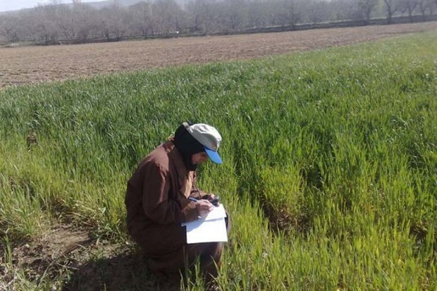 اطلاعات 24 هزار کشاورز قزوینی ثبت شد