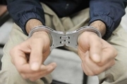 فردی که از طریق فضای مجازی در یزد تبلیغ برپایی 'پارتی' می کرد دستگیر شد