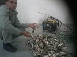 صید ماهی با برق فشار قوی
