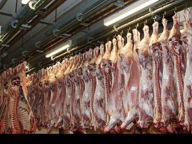 توزیع گسترده گوشت قرمز گرم وارداتی بزودی آغاز می شود