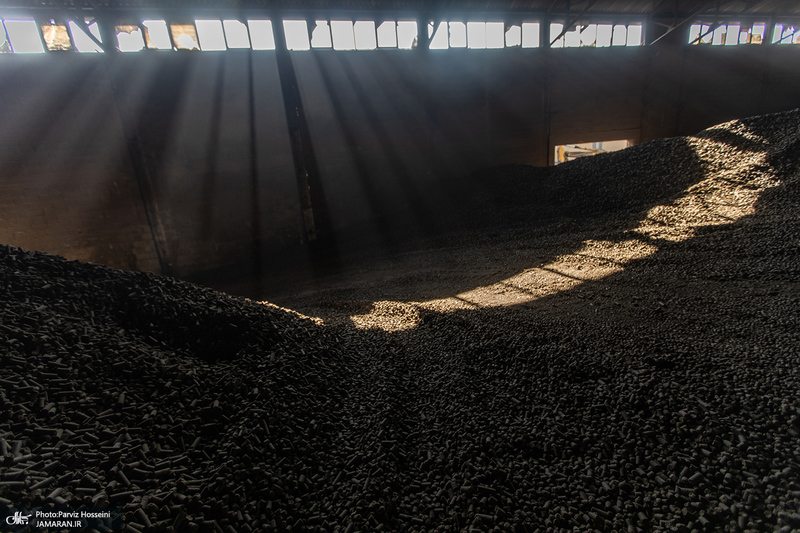 شوق شیرین تولید شکر / کارگران تولید قند و شکر