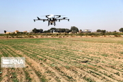 سمپاشی هوایی مزارع خرمشهر با پهپاد