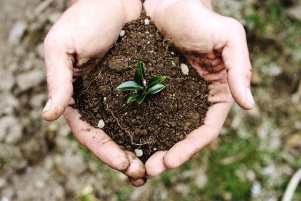 کشاورزی حفاظتی ضامن حفظ منابع خاک است