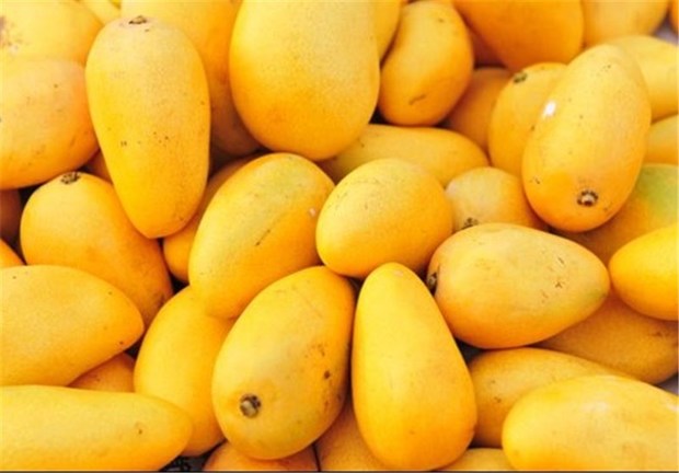 خواص بی‌نظیر انبه برای بدن
