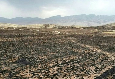 آتش سوزی مزارع کشاورزی در روستاهای ممسنی