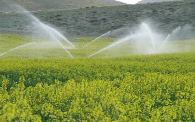 اجرای آبیاری نوین در10هزار هکتار اراضی بوشهر مصوب شد
