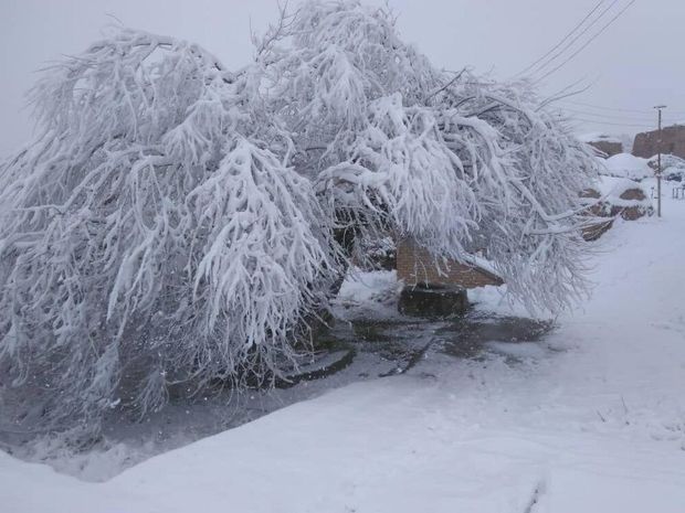 برف مسیر ارتباطی ۲۵ روستای اطراف تفتان را بست