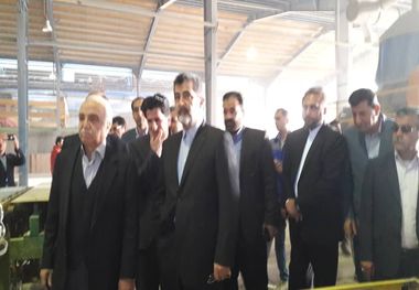 معاون وزیر کشور از کارخانه آجر دهدشت بازدید کرد