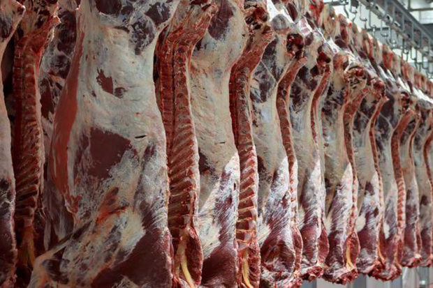 پنج تن گوشت گرم قرمز هر هفته به بازار قزوین تزریق می شود