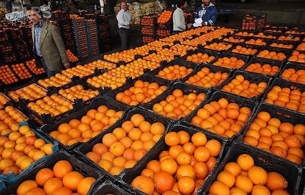 450 تن میوه شب عید در شهرستان ورامین توزیع می شود