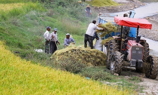 صورتحساب آب مصرفی صادر شده برای کشاورزان طارمی اصلاح می شود
