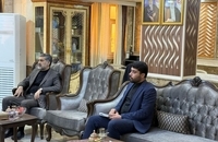 کمساری و سیدین