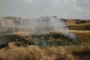 2 هکتار از مزارع گندم پلدختر در آتش سوخت
