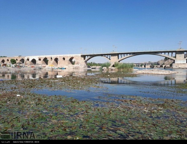 مرگ آبزیان در بالادست رودخانه دز
