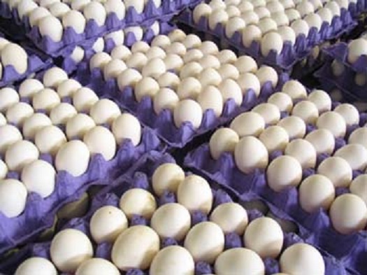 توزیع محموله 12 تنی تخم مرغ در جنوب کرمان