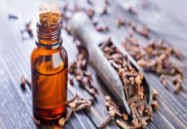 گیاهی که برای لاغری مفید است