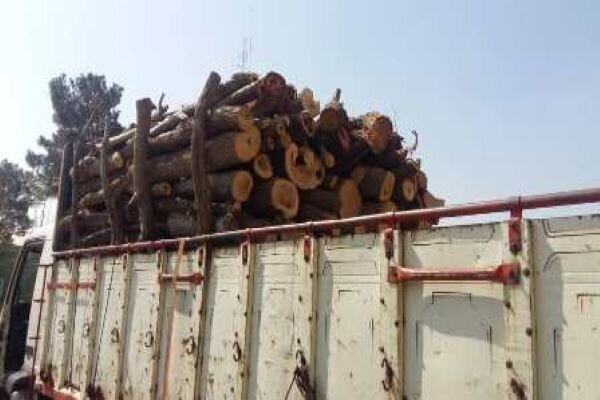 ۱۲ تن چوب جنگلی قاچاق در رودسر کشف شد