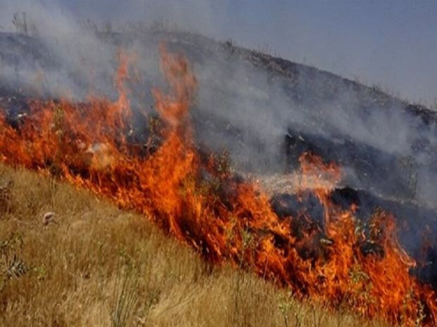 ۵ هکتار مرتع  رفسنجان در آتش سوخت