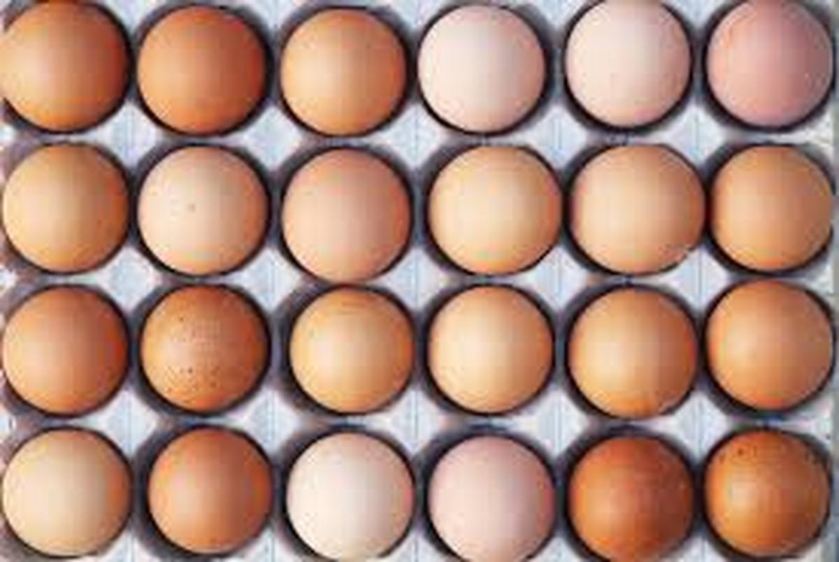 مصرف تخم مرغ های رنگی سلامت انسان را تهدید می کند