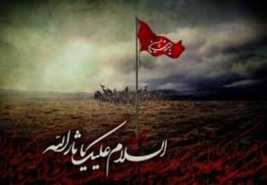 انجام قربانی دام در معابر عمومی احتمال بروز بیماری‌ها را چند برابر می‌کند