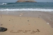 ساحل جزیره ابوموسی پاکسازی شد