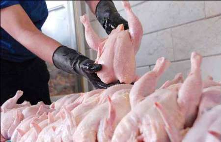 قیمت مرغ در روزهای آینده کاهش خواهد یافت