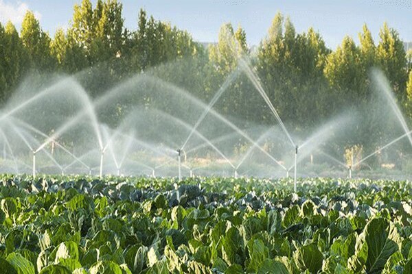 رهاسازی آب سد چشمه عاشق نی ریز برای کشاورزان