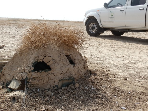 تخریب کوخه ها برای پیشگیری از صید پرندگان شکاری در بوشهر